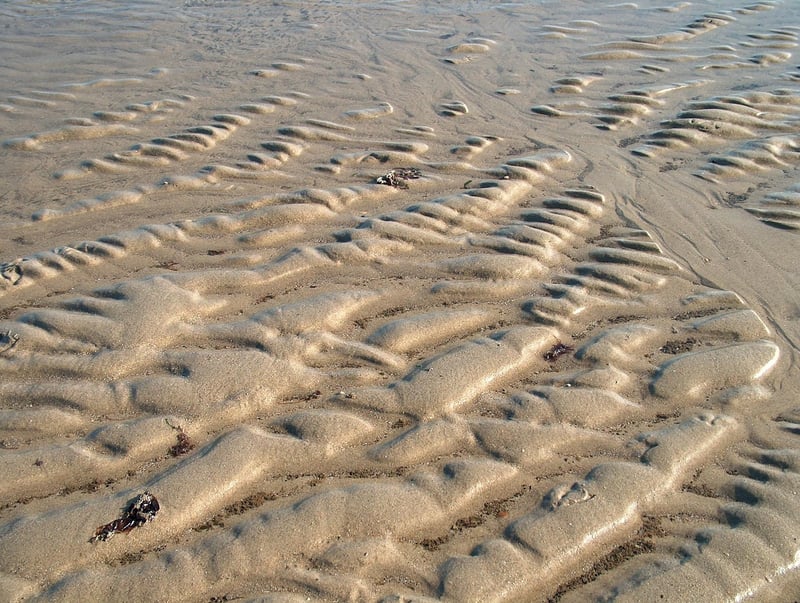 Yosemite National Park, USA